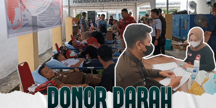 Donor Darah